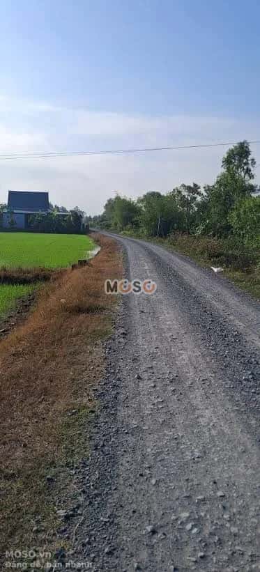 Bán đất Hẻm 19 đường Trường Đông  Thị xã Hòa Thành, Tây Ninh – giá 460 triệu - ảnh 3